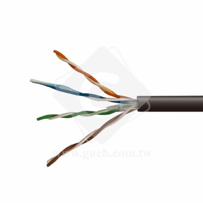 大同 CAT.5E-24AWG-PE_芯線實體圖_.jpg
